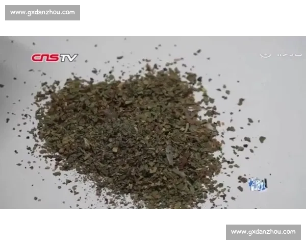 大麻致幻引发文化乌龙：印度游客误将加拿大弗雷泽河认作恒河